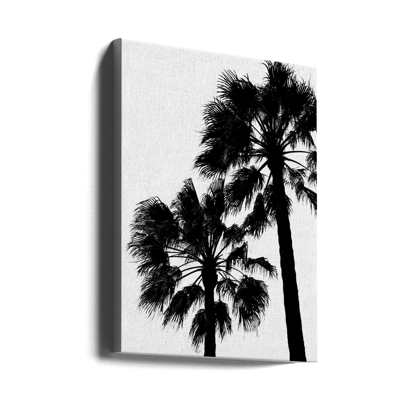 Contraste de paume | Tableaux sur Toile