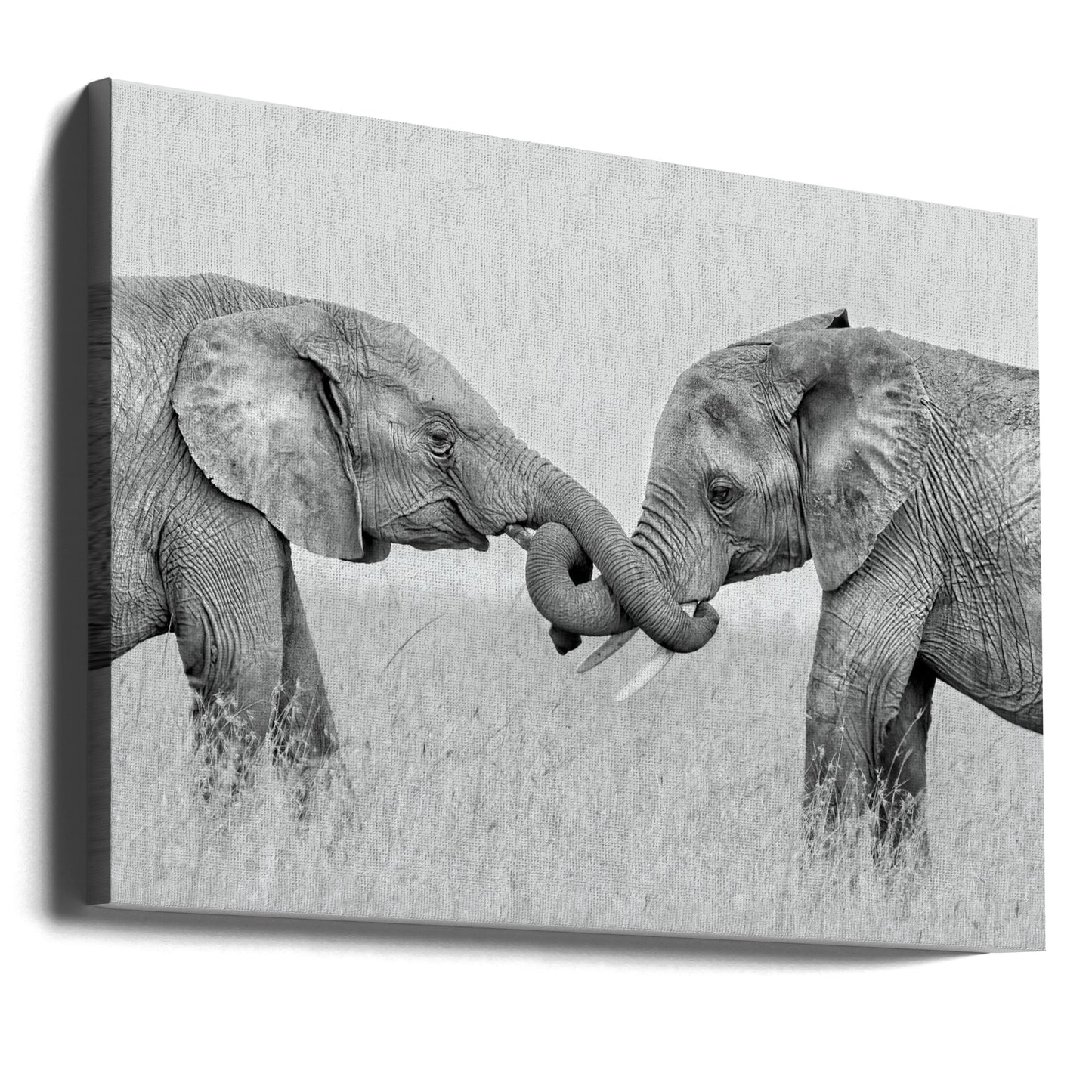 Confrontation | Canvas