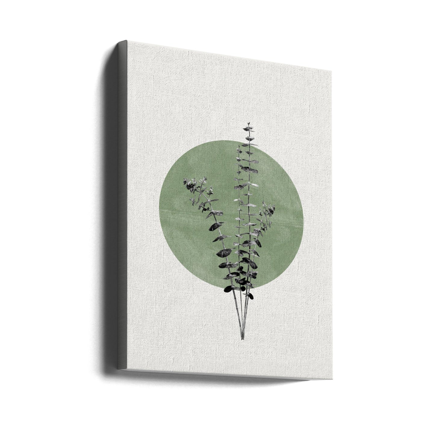 Eucalyptus and Green Moon | Canvas