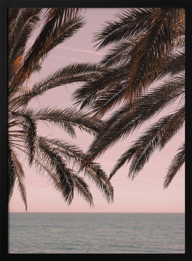 Palm_011 | Affisch