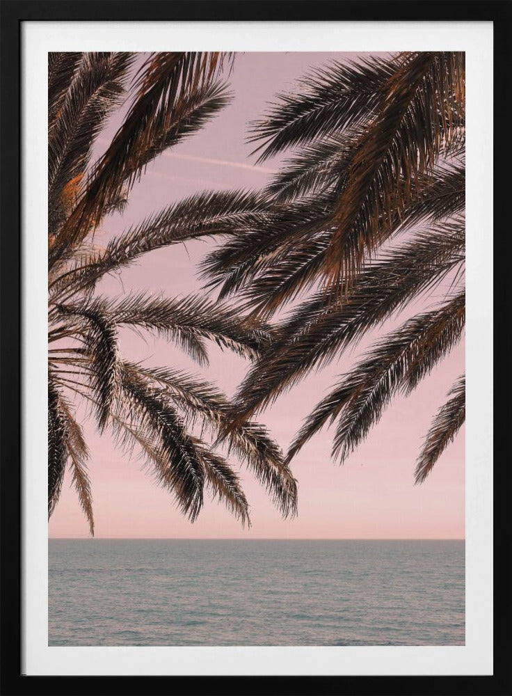 Palm_011 | Affisch