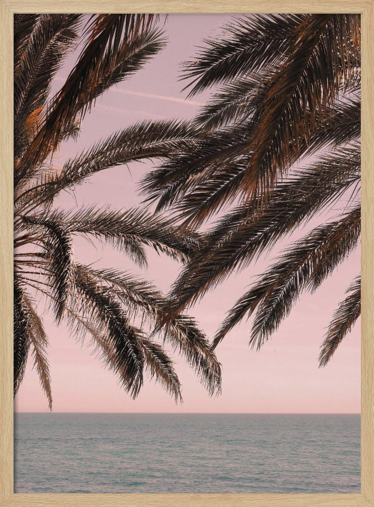 Palm_011 | Affisch