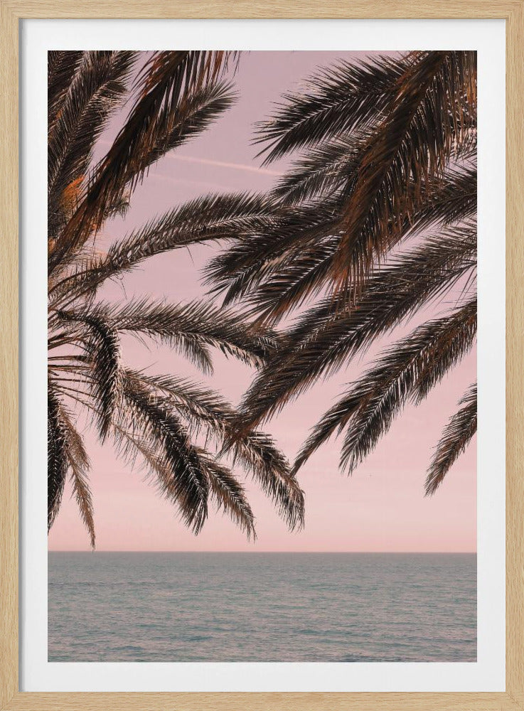 Palm_011 | Affisch