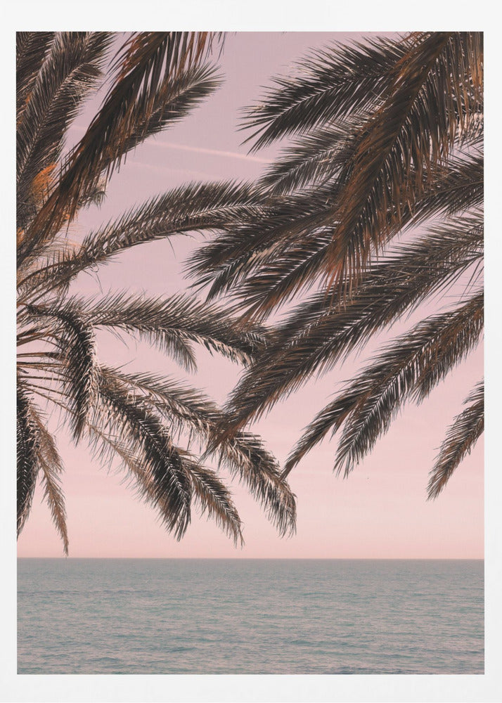 Palm_011 | Affisch