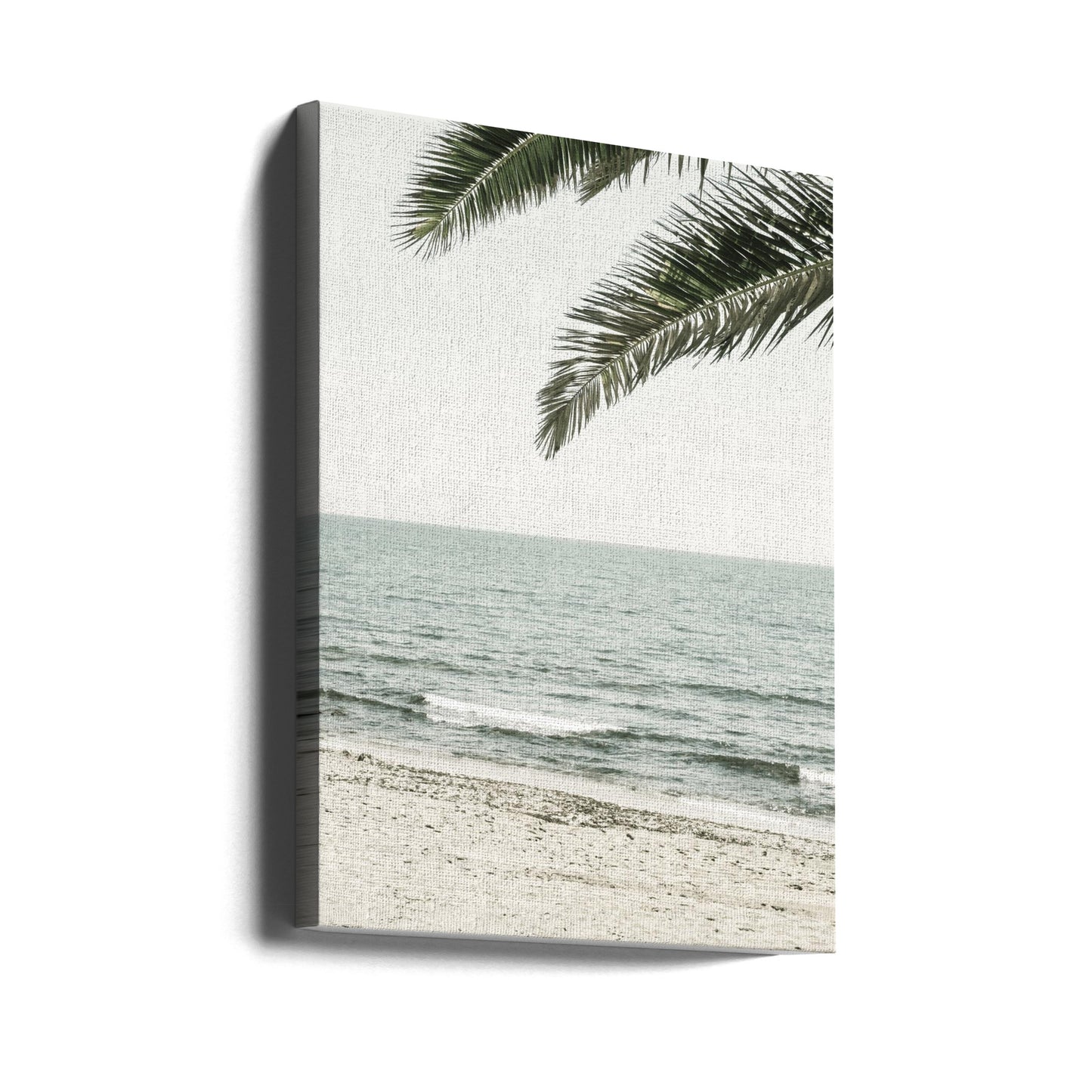 Solaris 03 | Canvas