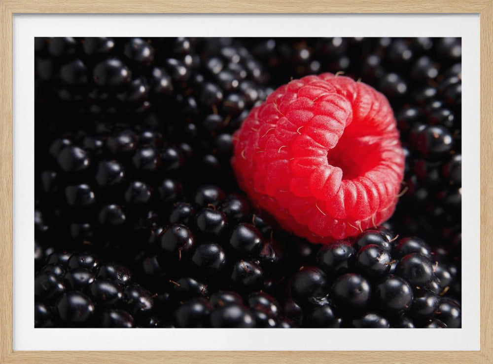 Bär annorlunda | Poster