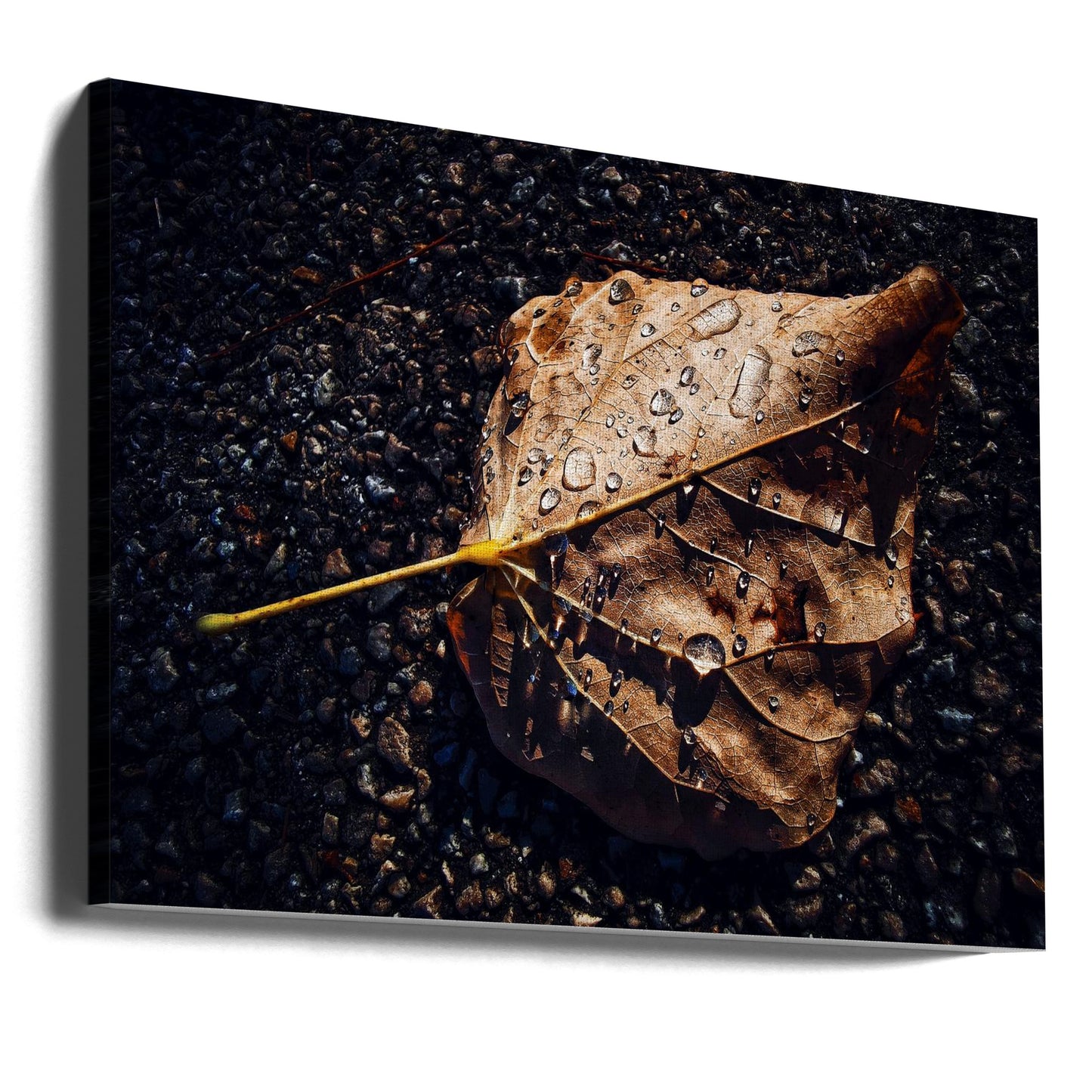 Blad | Lerretsbilder