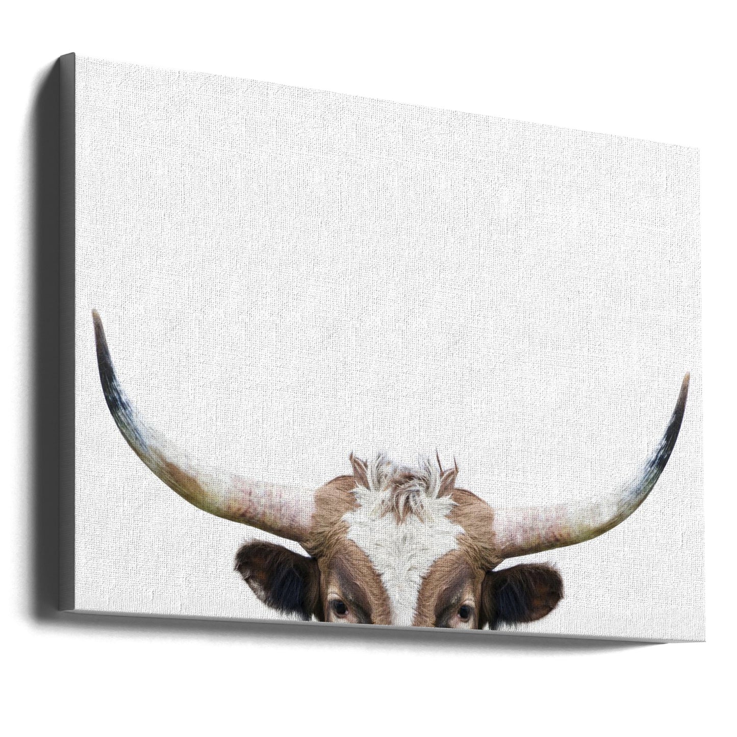 Peeking Longhorn Cow | Canvas