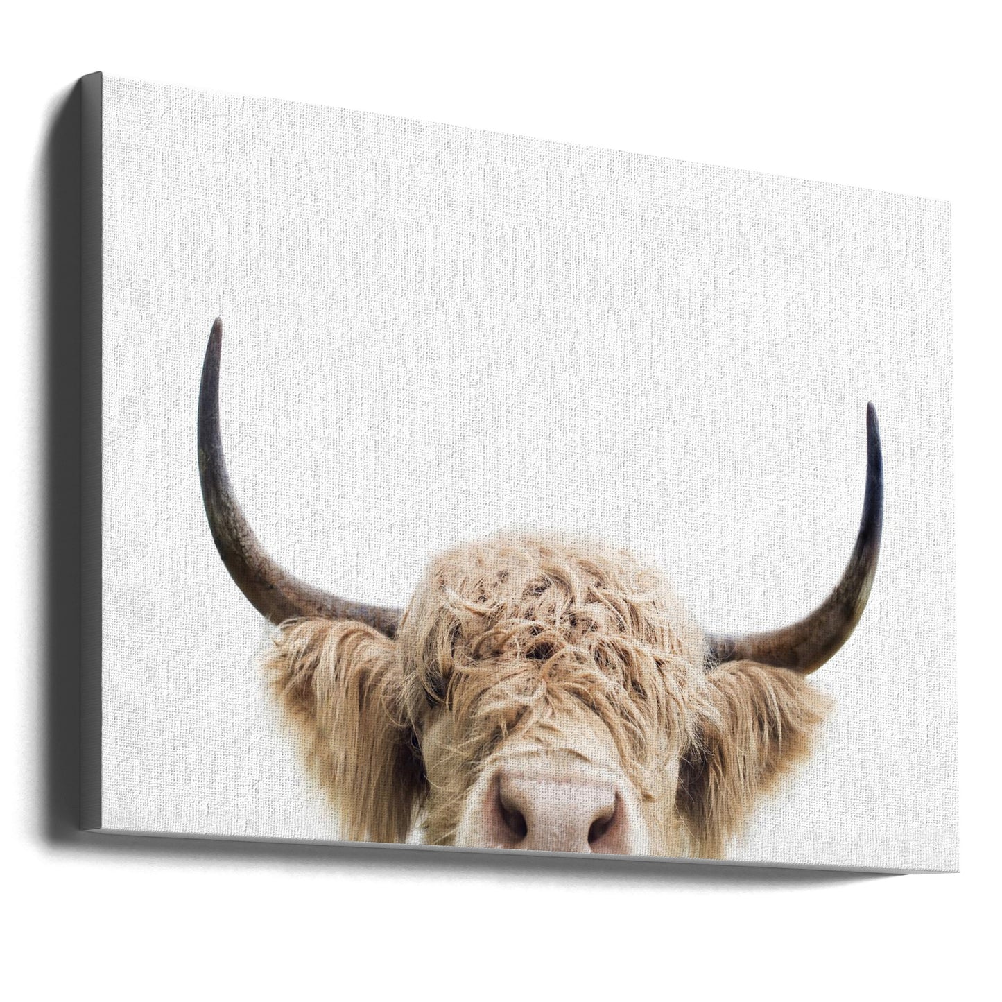 Peeking Cow | Canvas