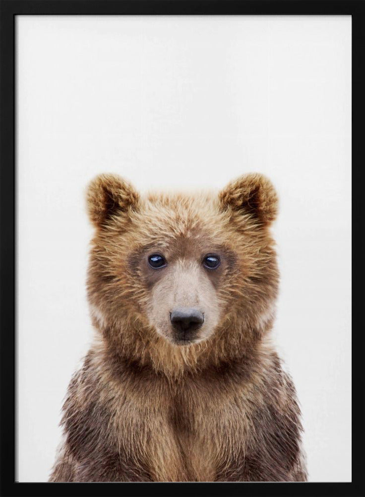 Babybjörn | Poster
