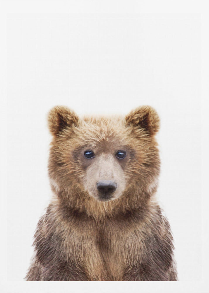 Babybjörn | Poster
