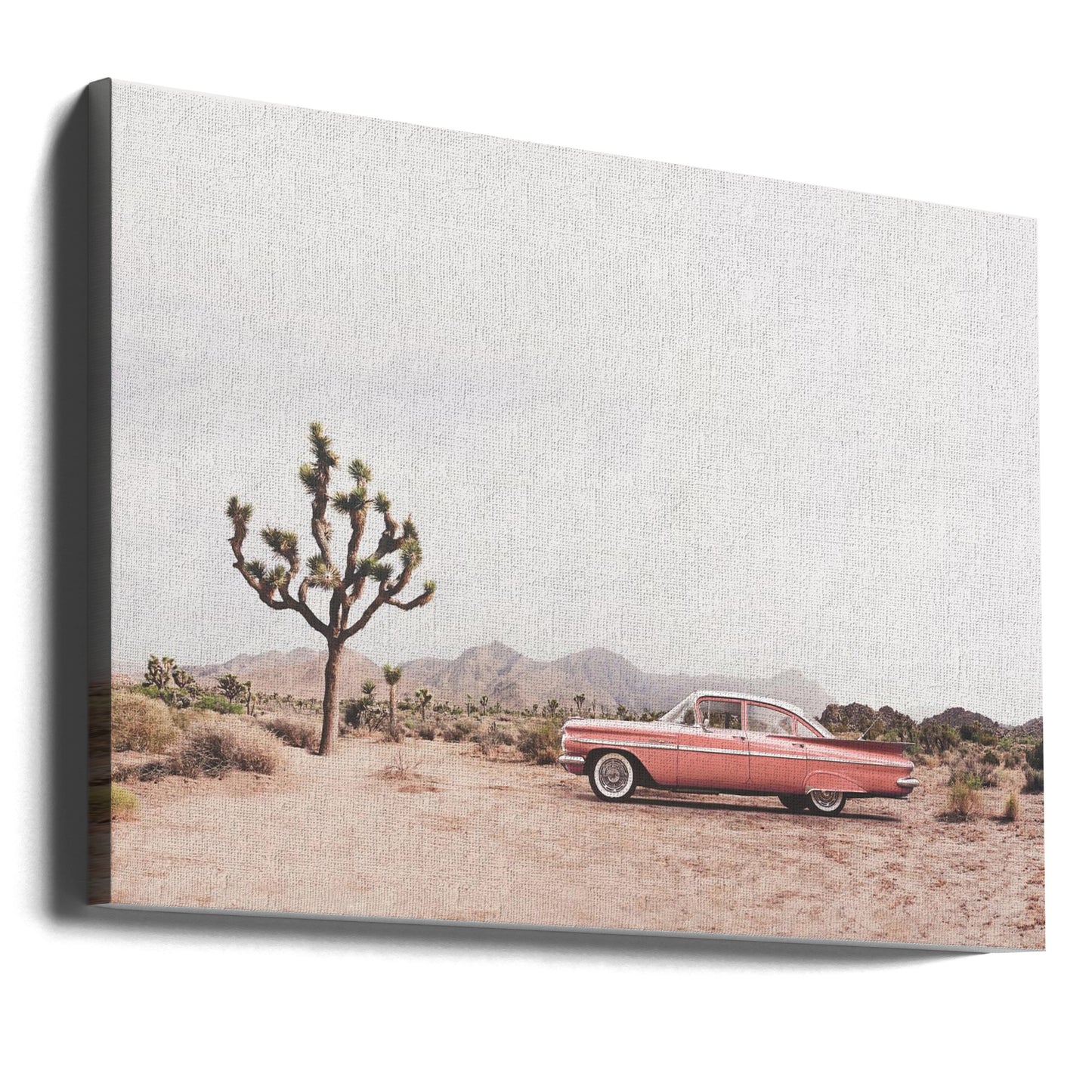 In the desert | Canvas