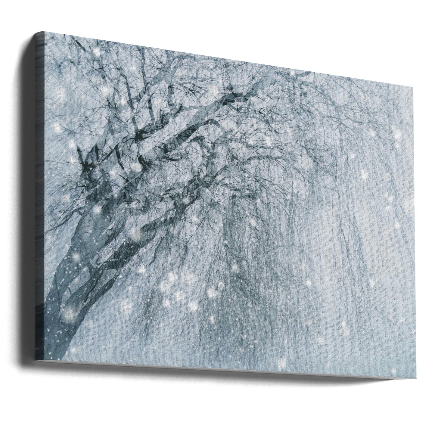 Winter tree | Canvas