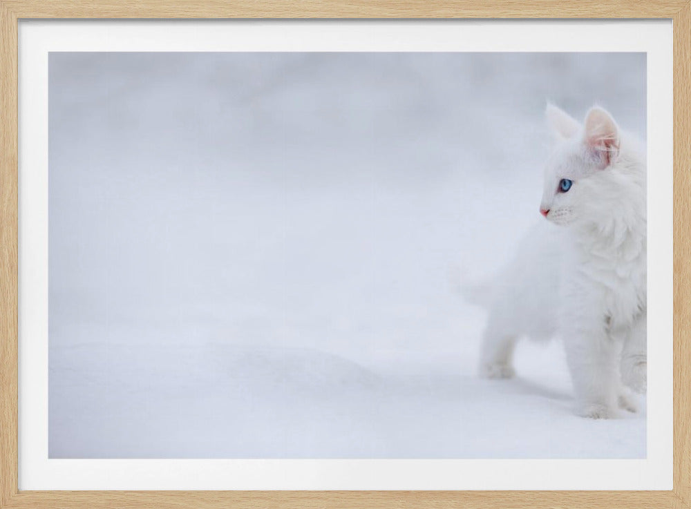 Vit som snö | Poster