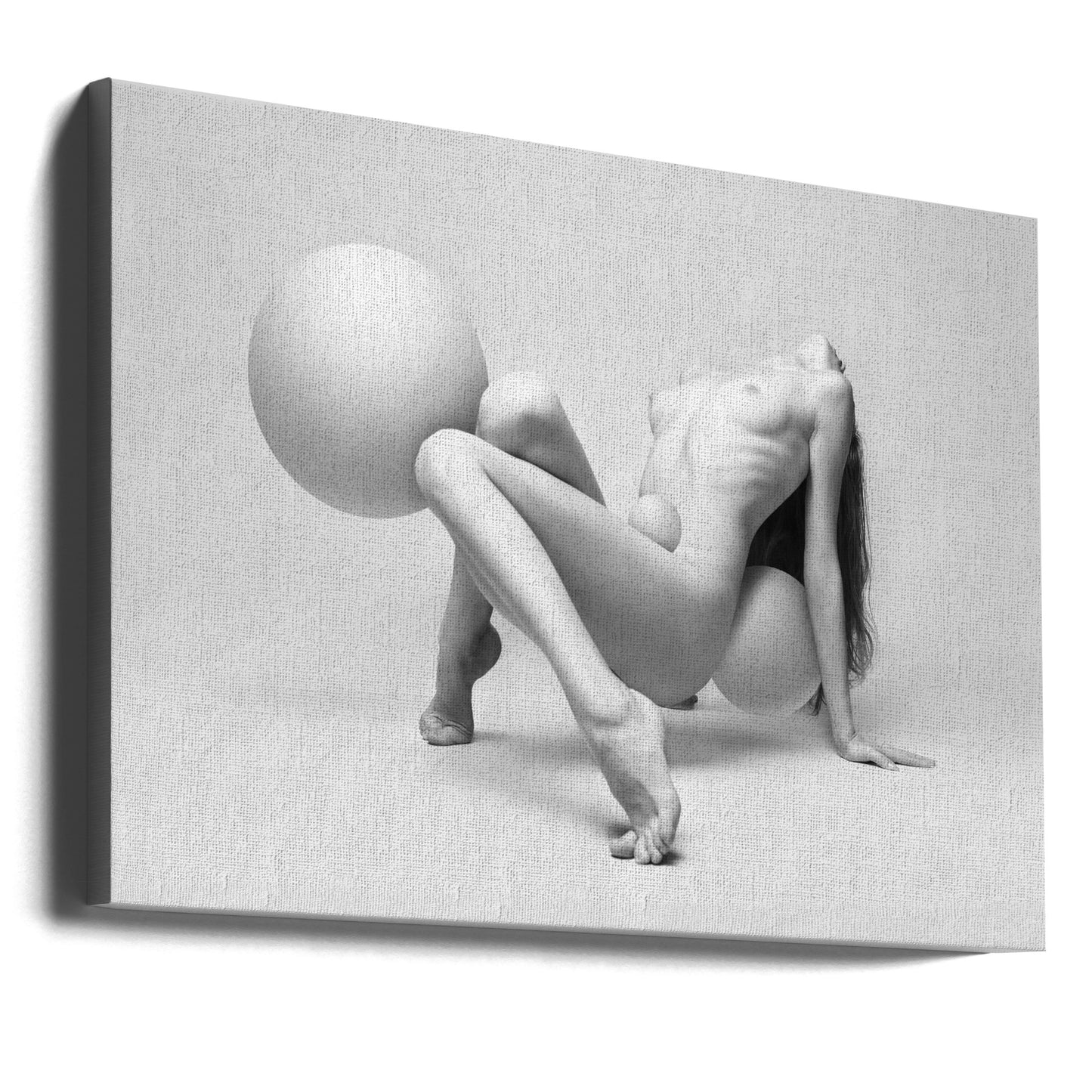 Three spheres of life | Canvas