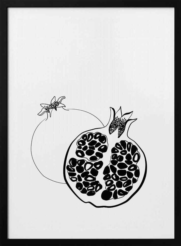 Melograni disegnati a mano | Poster - Stampe d’Arte