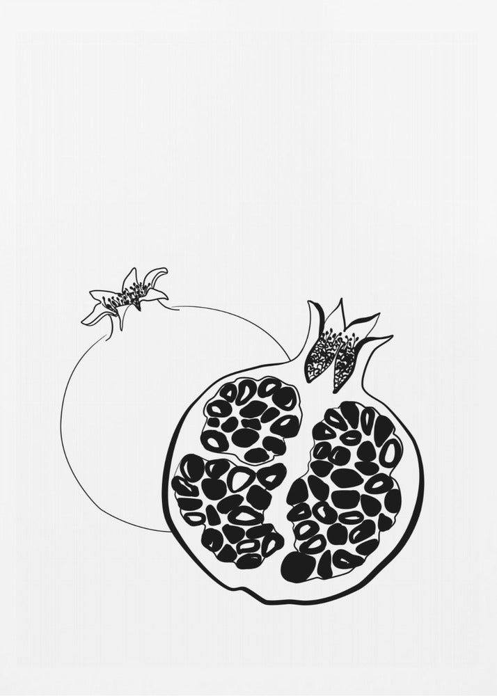 Melograni disegnati a mano | Poster - Stampe d’Arte