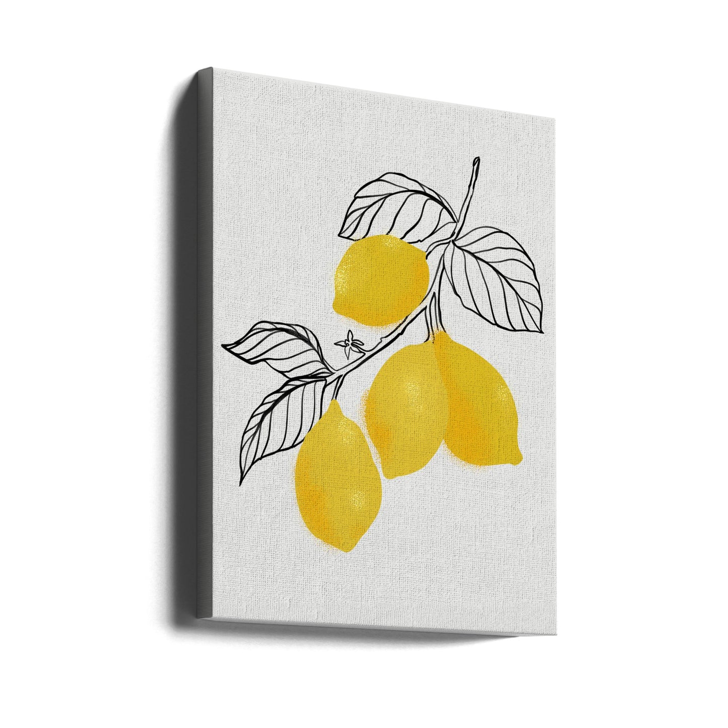 Lamya lemons | Canvas
