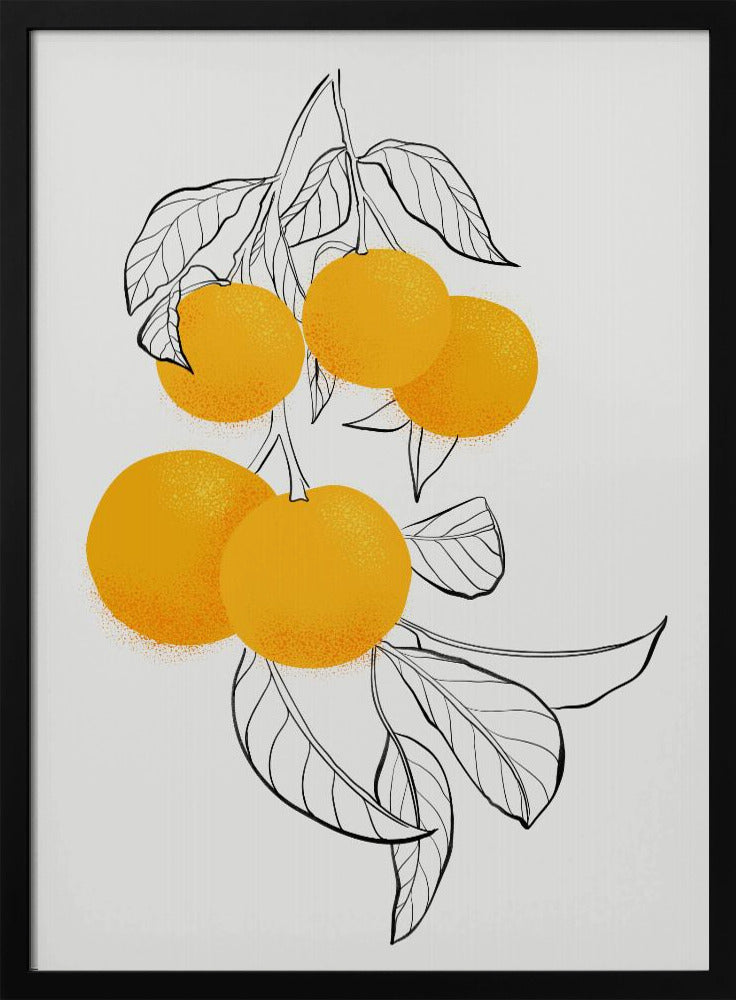 Naranjas mabel | Posters - Impresiones de Arte