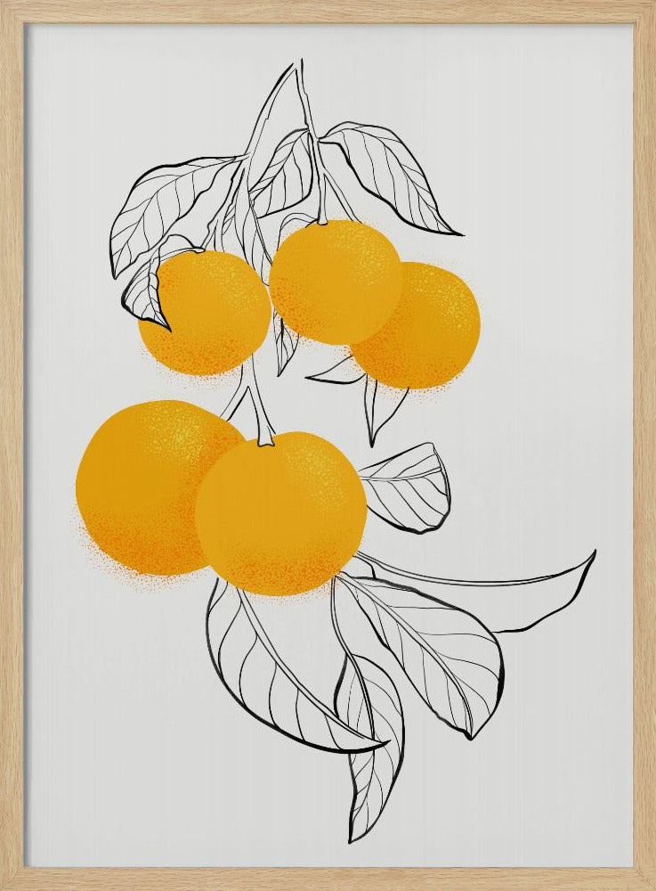 Naranjas mabel | Posters - Impresiones de Arte