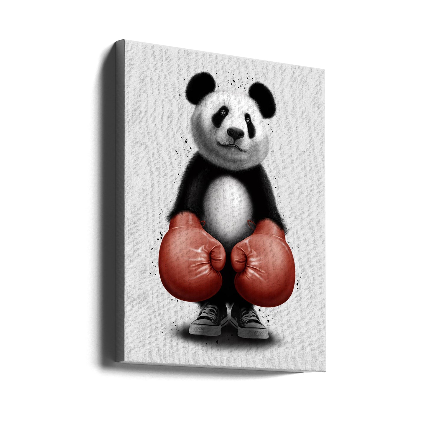 PANDA BOXER | Canvas