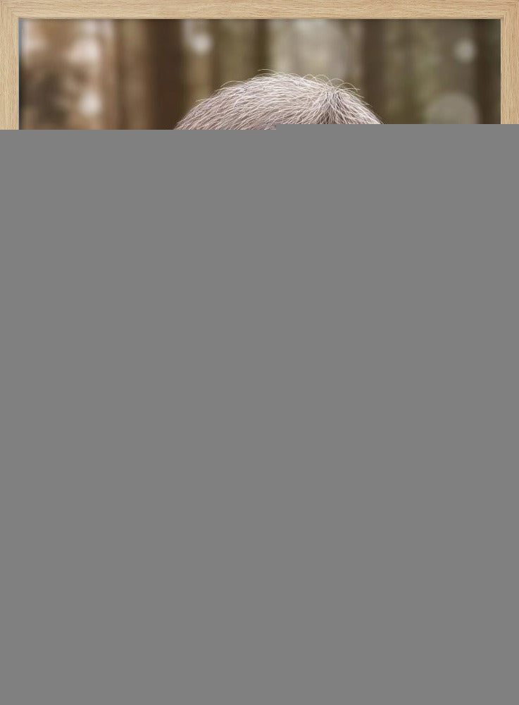 SLOTH THE TOY MAKER | Poster
