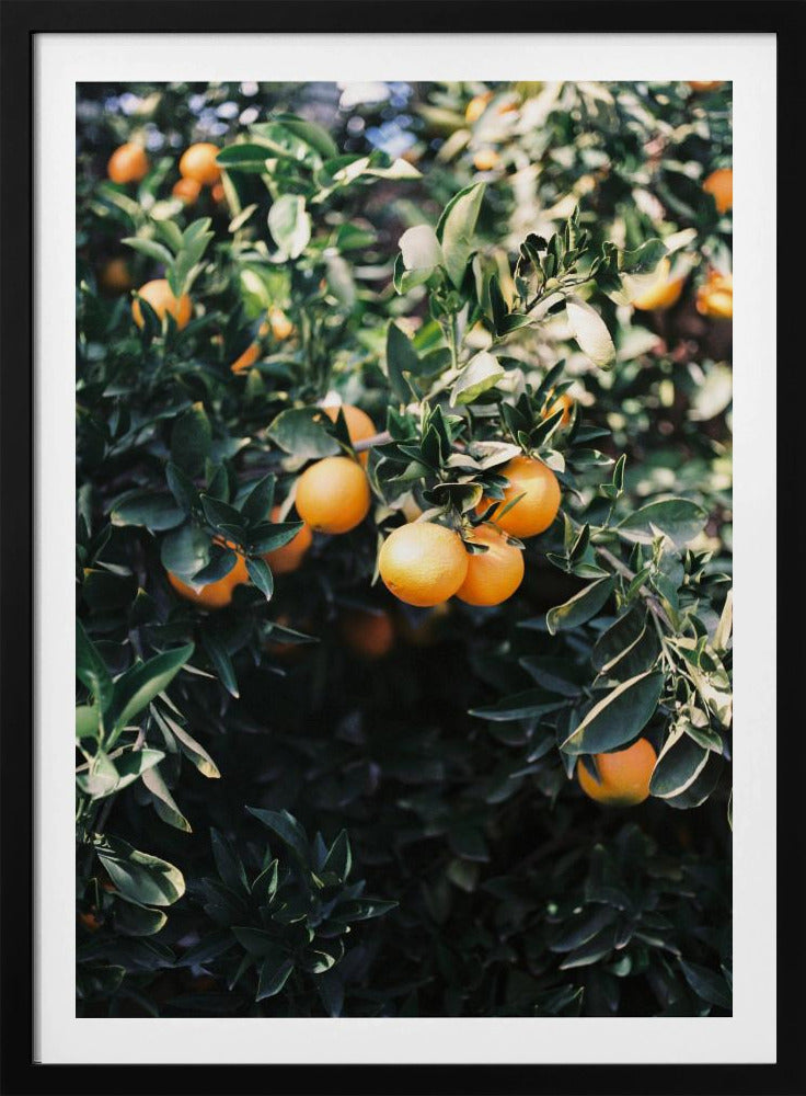 Marrakesh-sinaasappels | Posters - Kunstdrukken