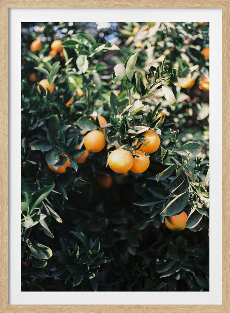 Marrakesh-sinaasappels | Posters - Kunstdrukken