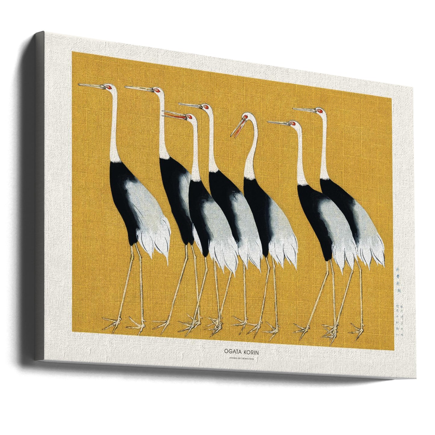 Japanese Red Crown Crane | Canvas