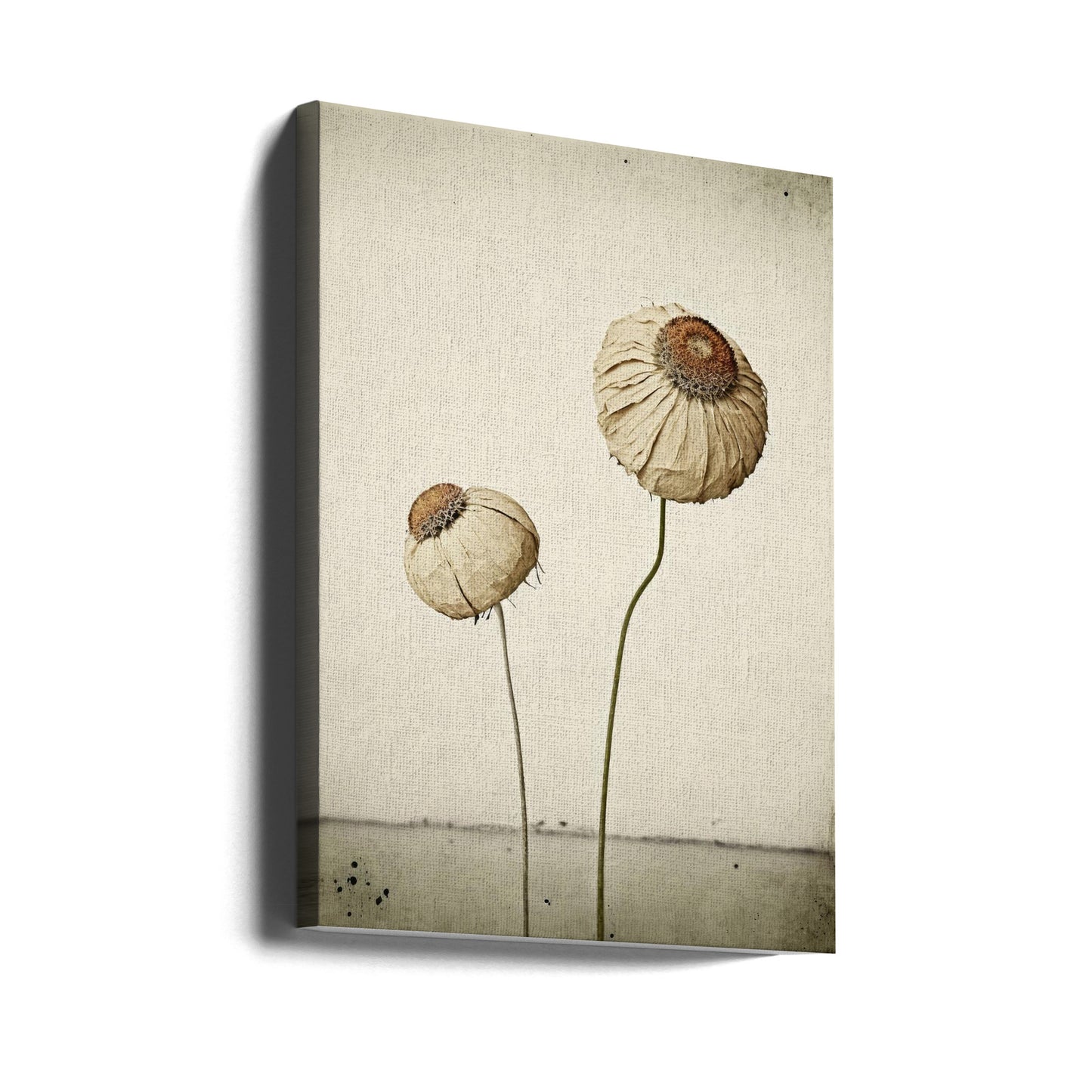 Eternal Flower | Canvas