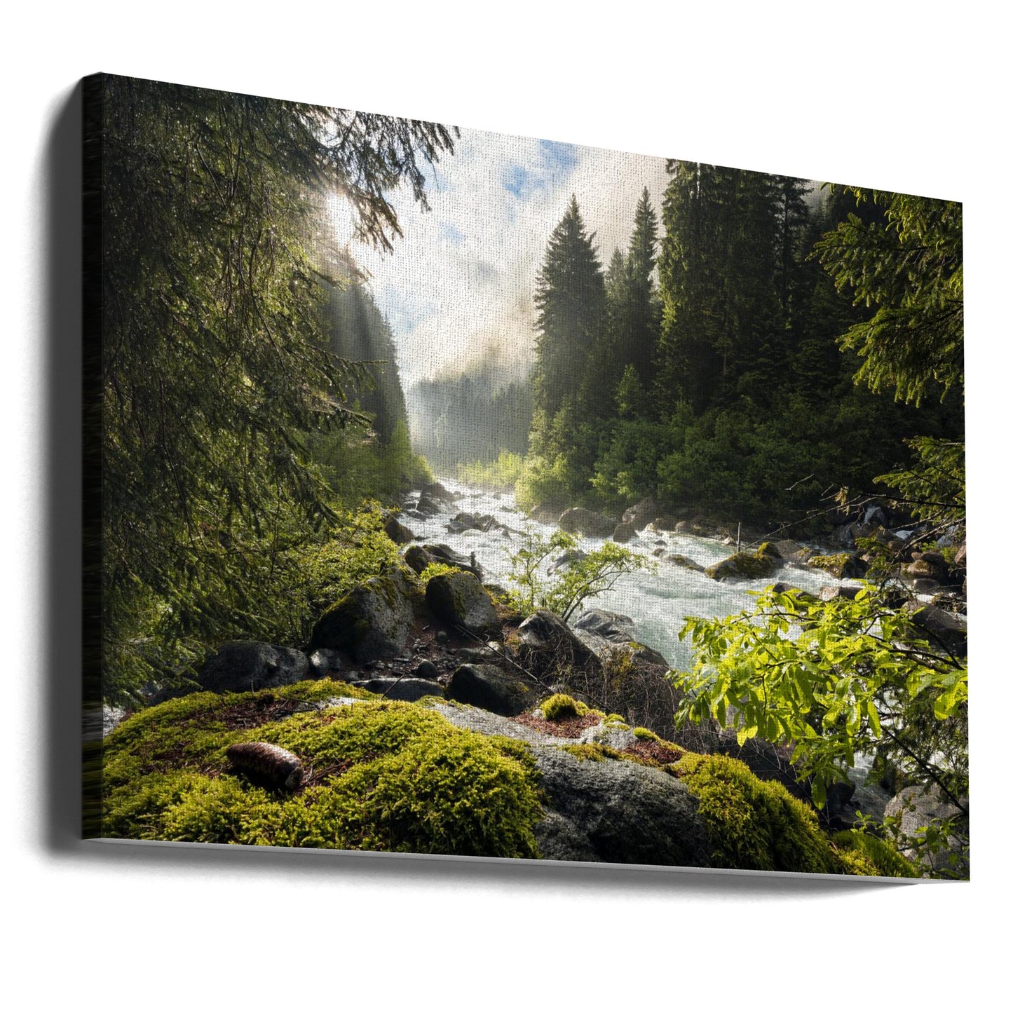 Frühlingsferien | Leinwand-Bilder