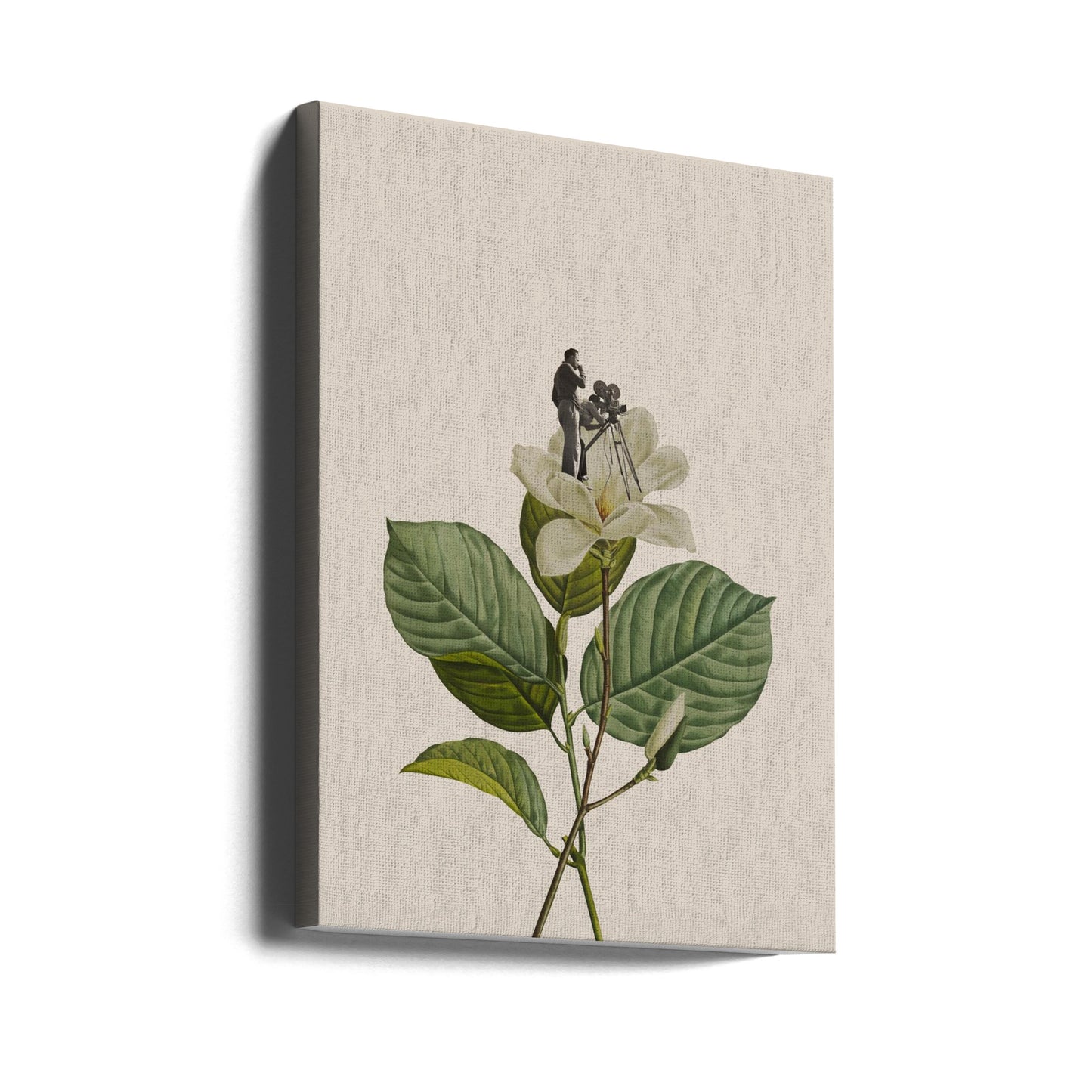 Botanischer Vintage-Kameramann | Leinwand-Bilder