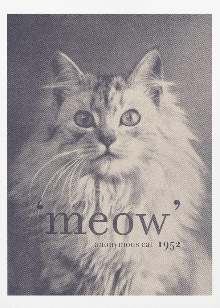 Berömd citat Katt | Poster