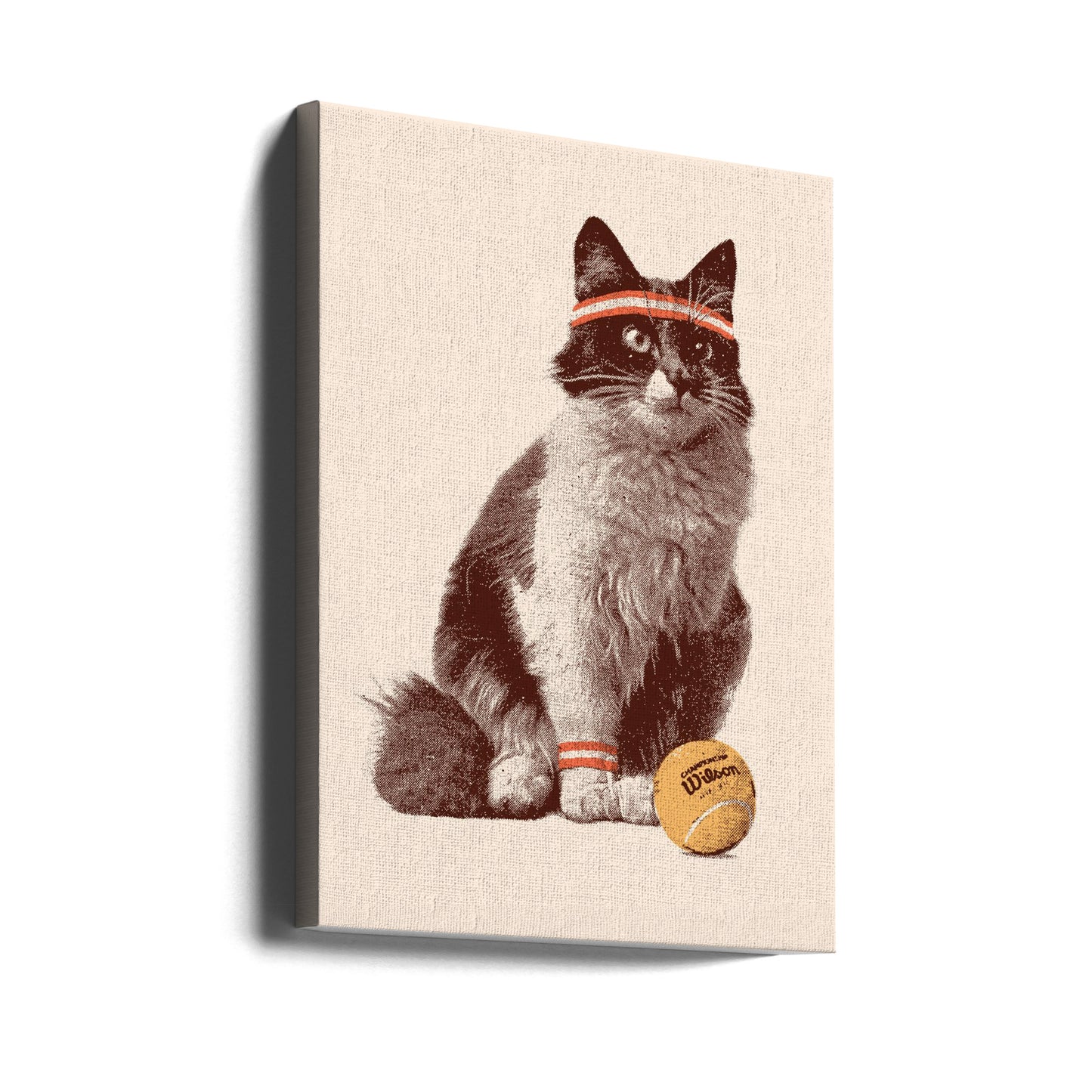 Tenniskatt | Canvas