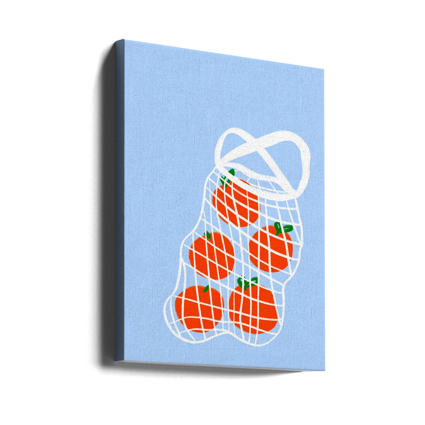 Tomatoes in Mesh | Canvas
