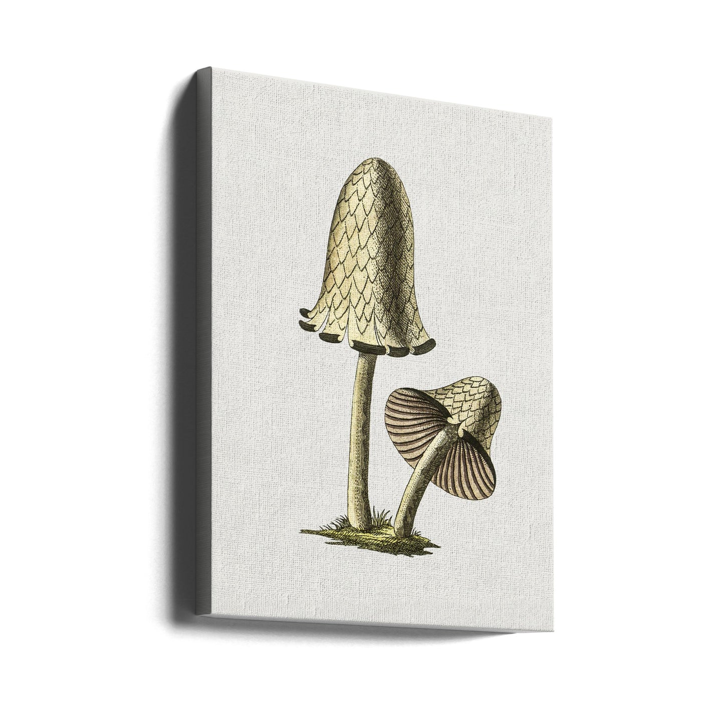 Ätbar svamp i vintage-stil med bläckmotiv | Canvas