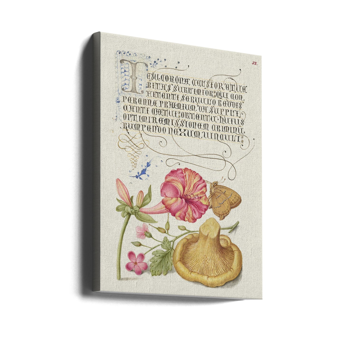 Monumenti calligrafici di Mira | Stampe su Tela