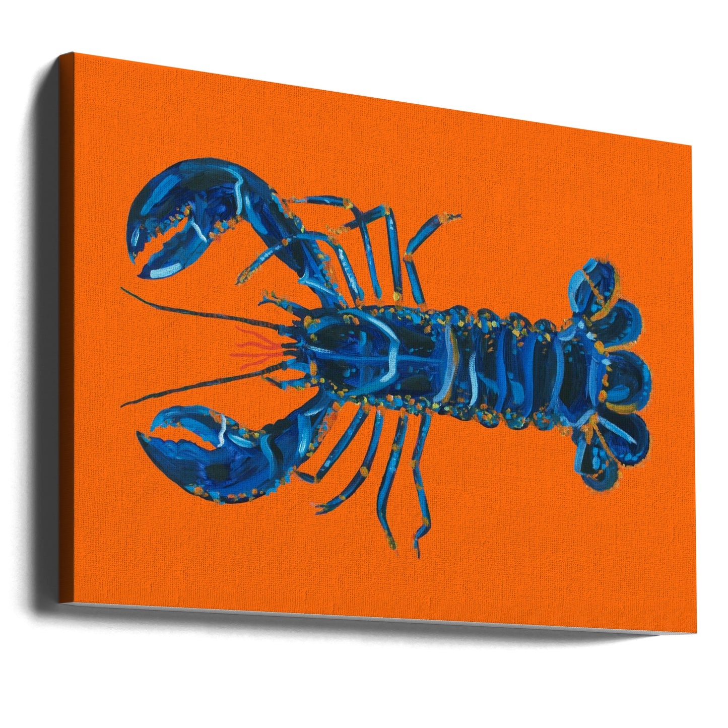 Hummer på orange | Canvas