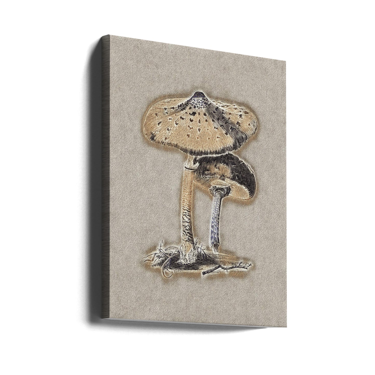 Handritad parasoll med svamp i brunt | Canvas
