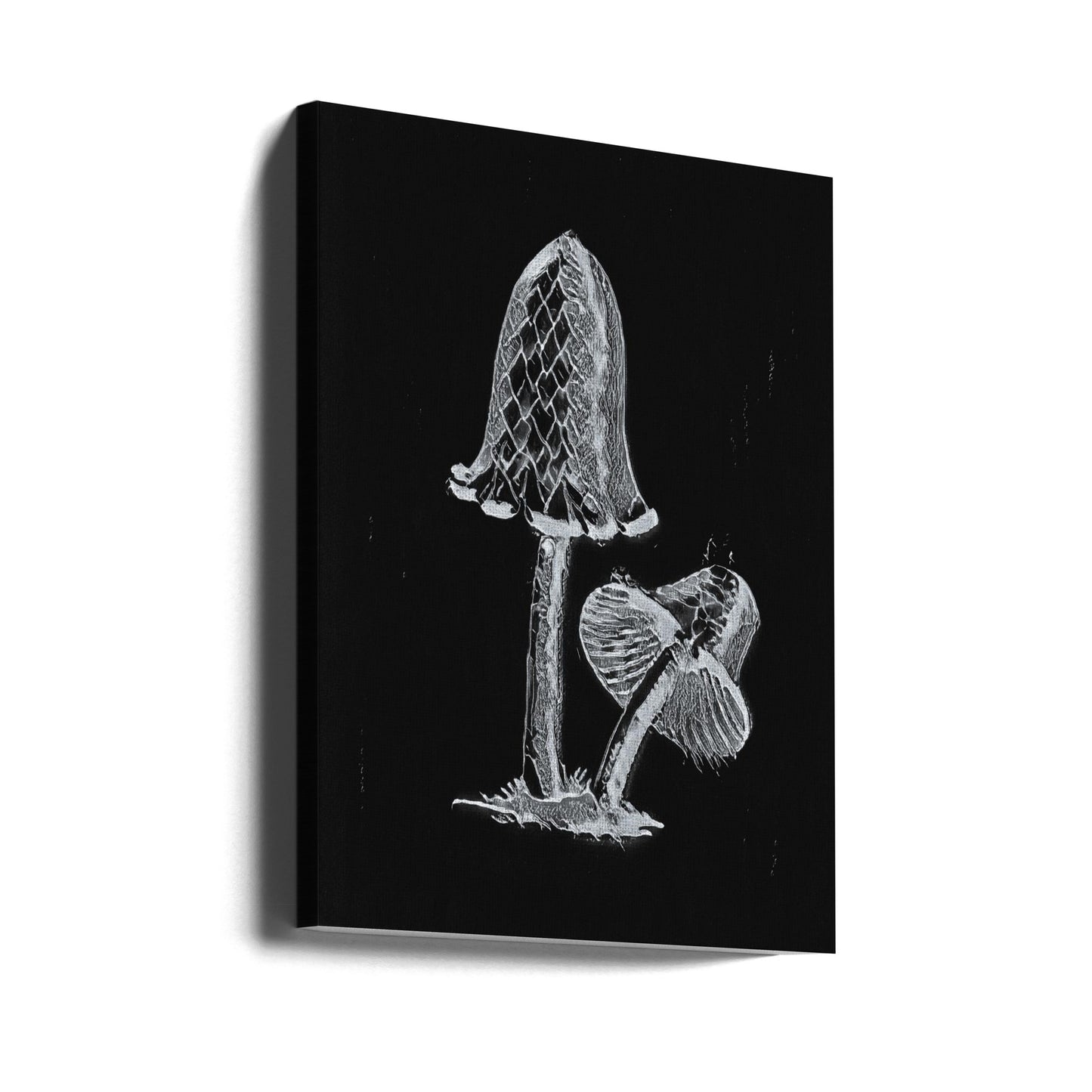 Vintage Inky Cap Ätbar Svamp Mörk Svartvit | Canvas
