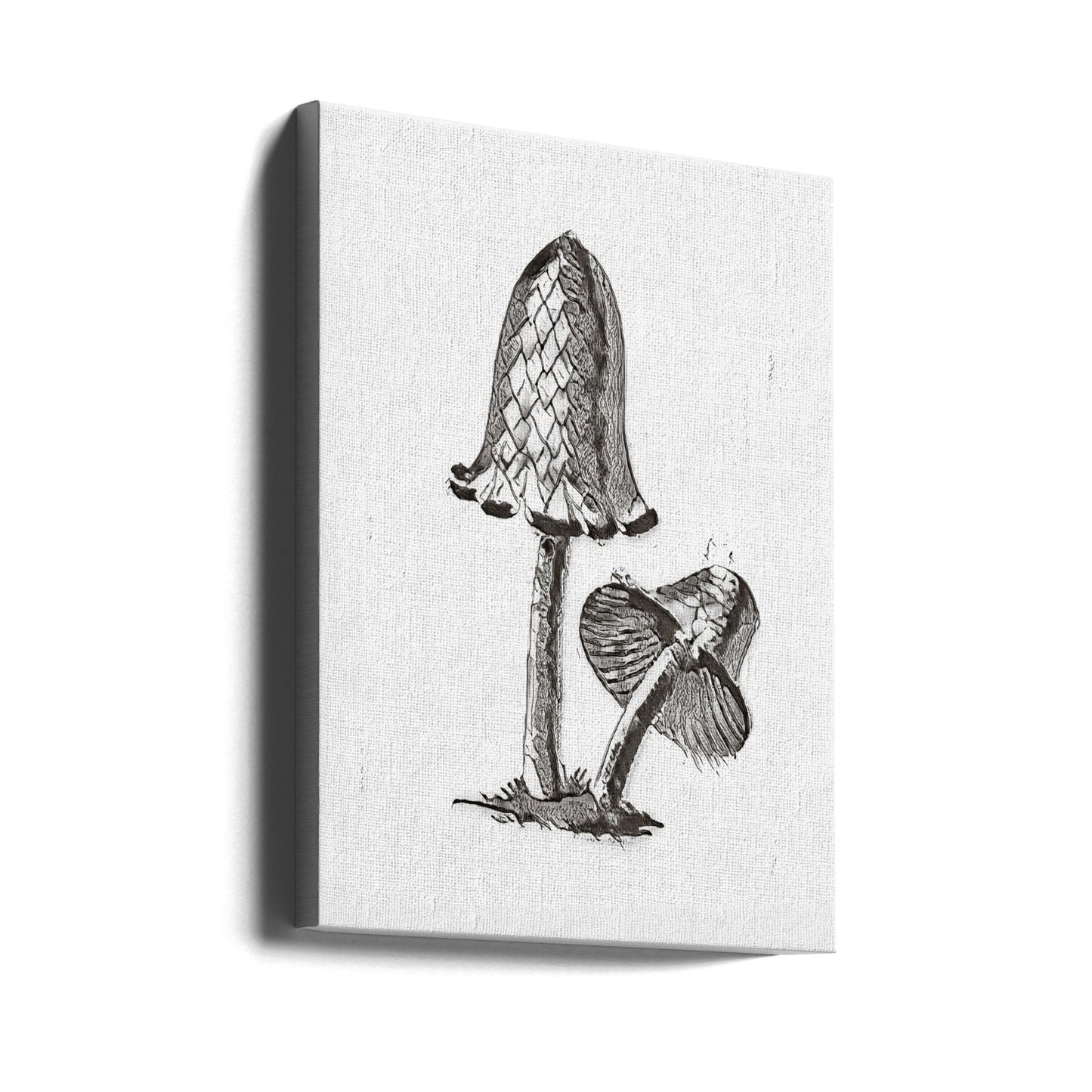 Vintage Inky Cap Ätbar Svamp B/W Ljus | Canvas