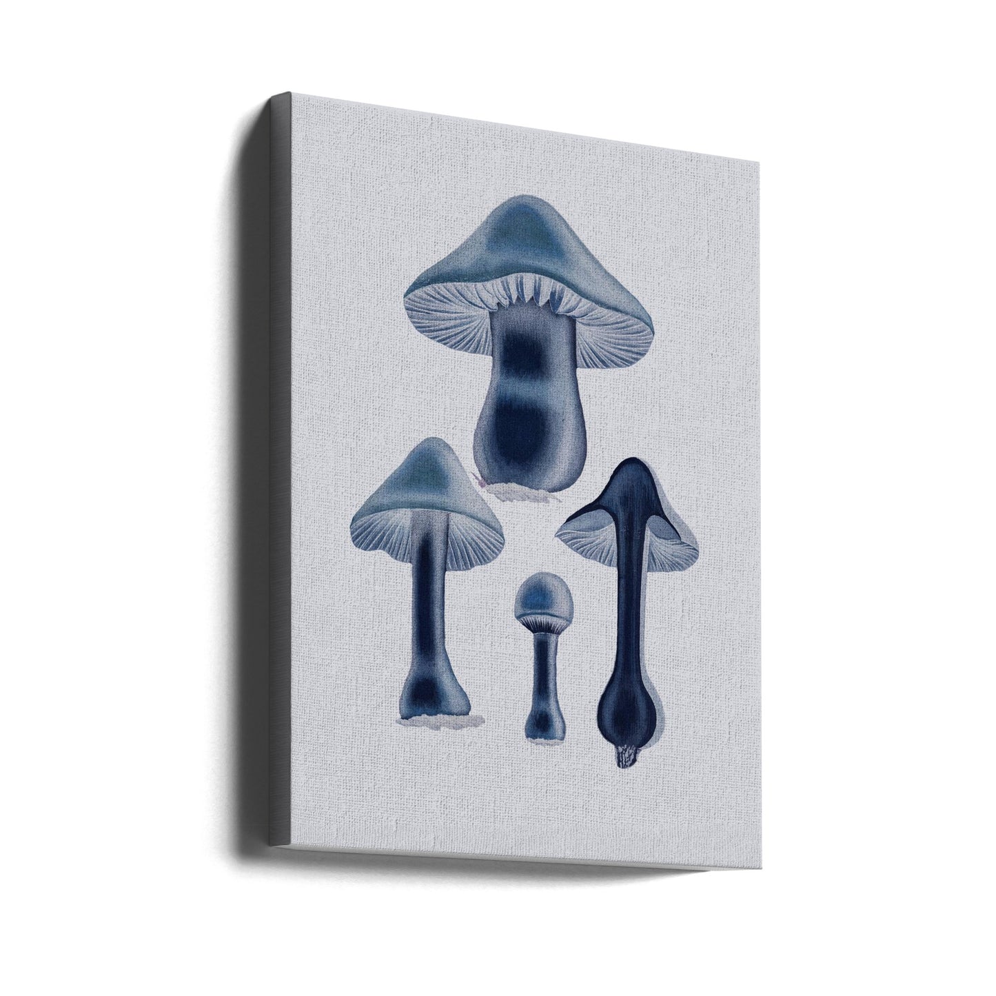 Agaricus Bulbosus - Blå | Duk