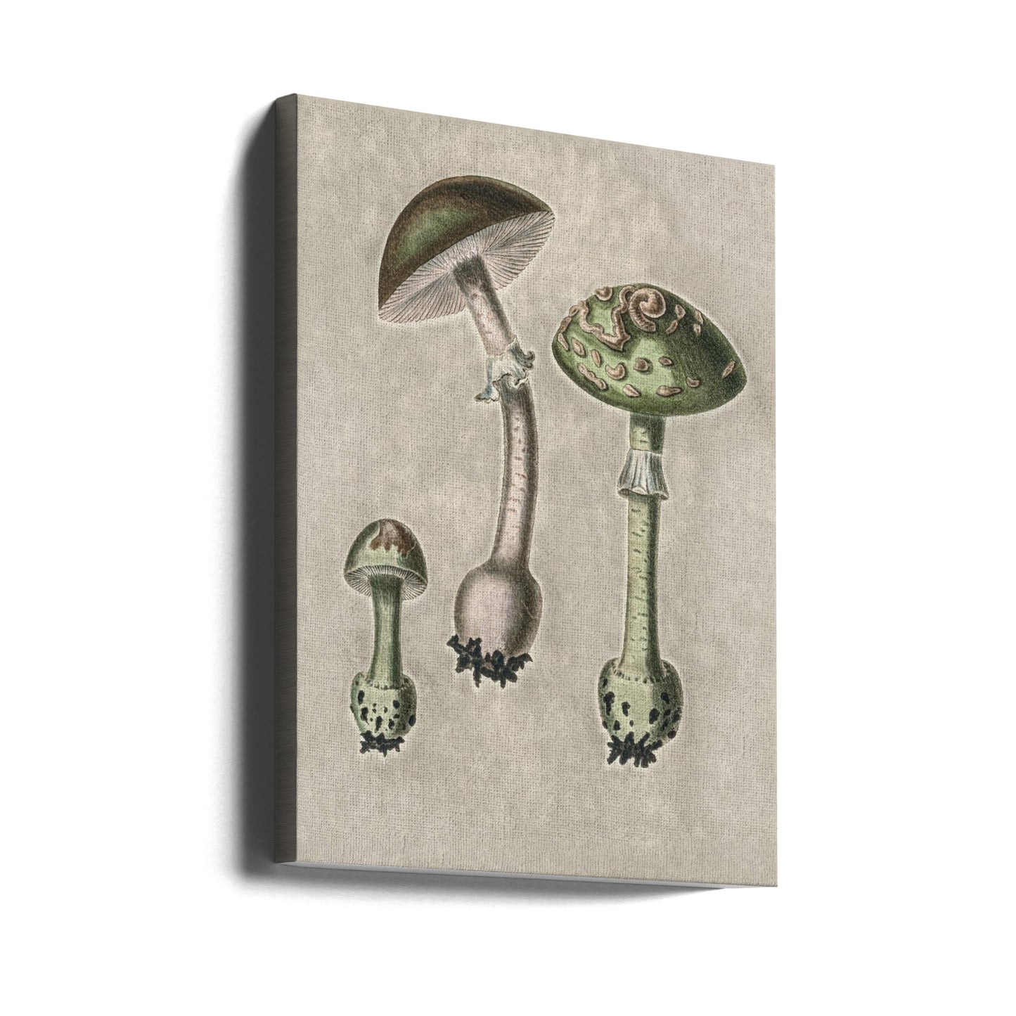 Amanita Muscaria Remix Grön | Duk