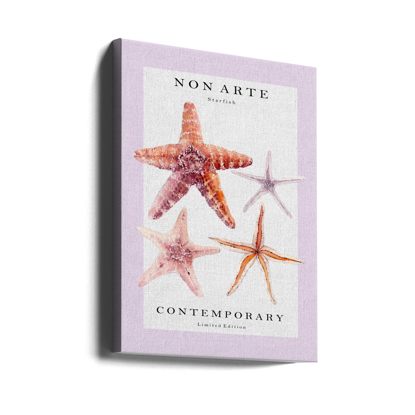 Non Arte Starfish | Canvas