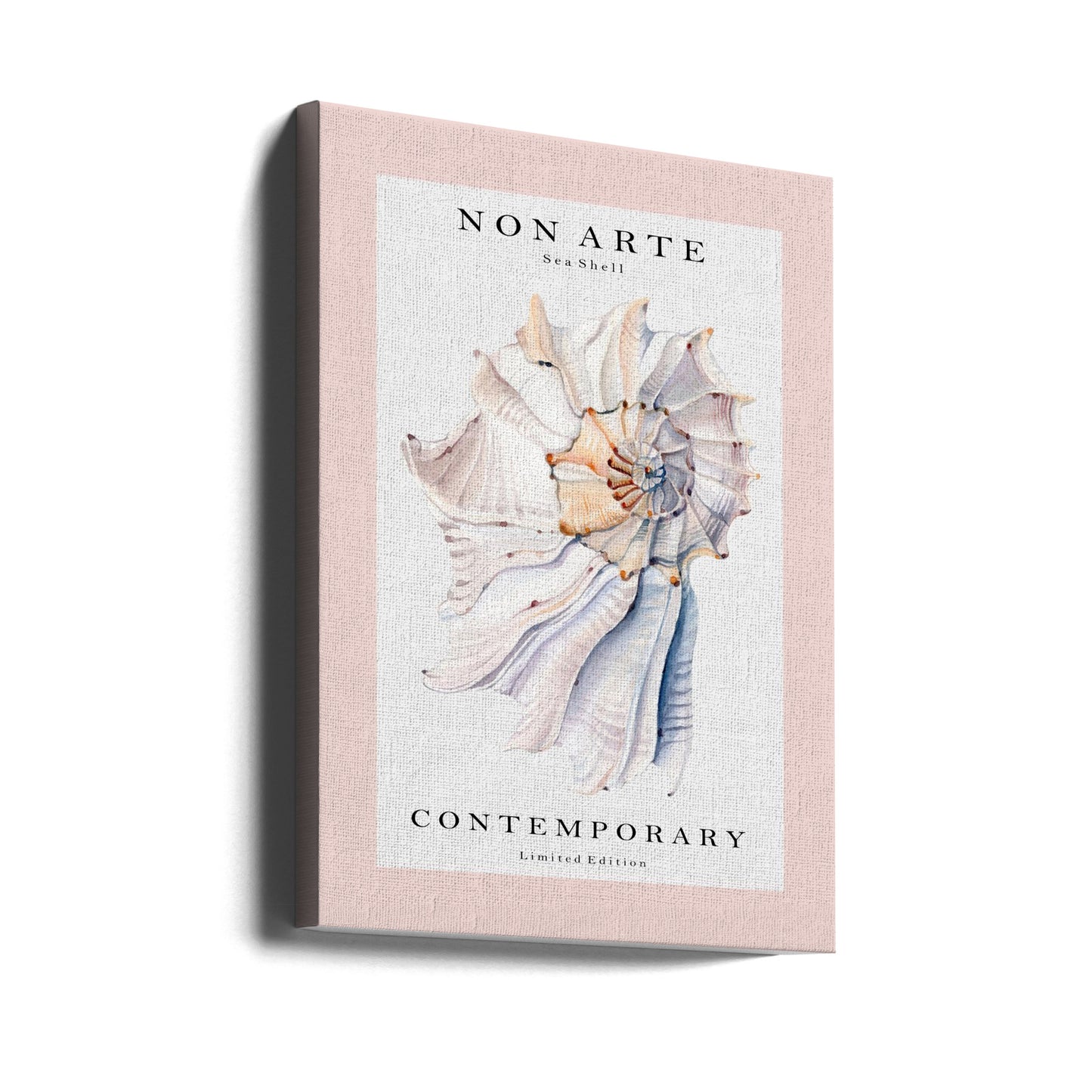 Non Arte Sea Shell no.1 | Canvas
