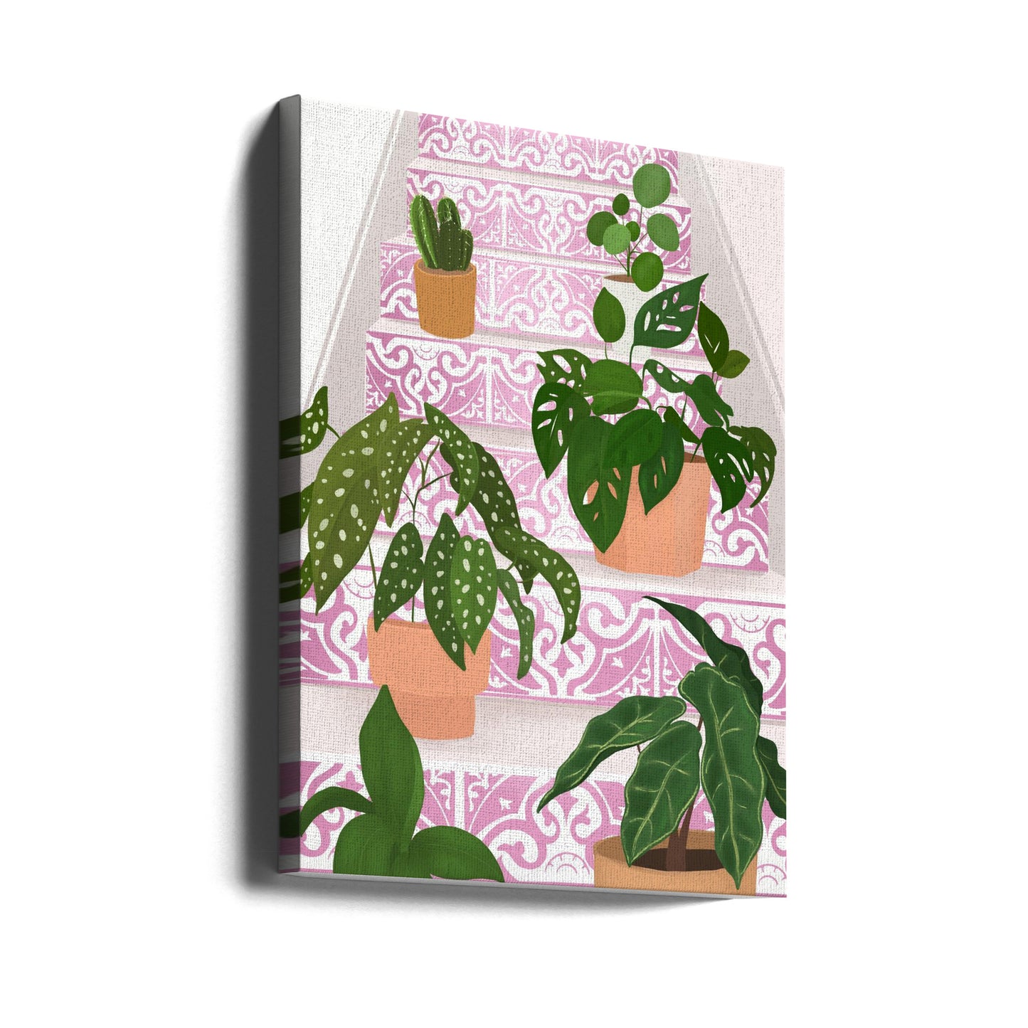 Planter | Lærredsbilleder