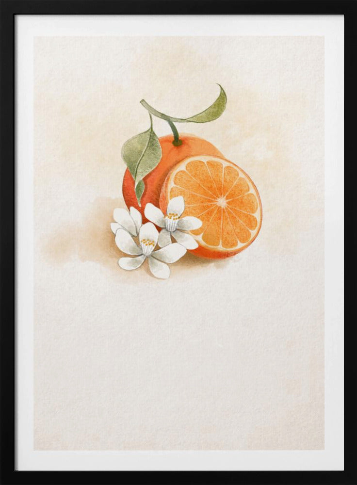 Saftige Orange | Poster - Kunstdruck