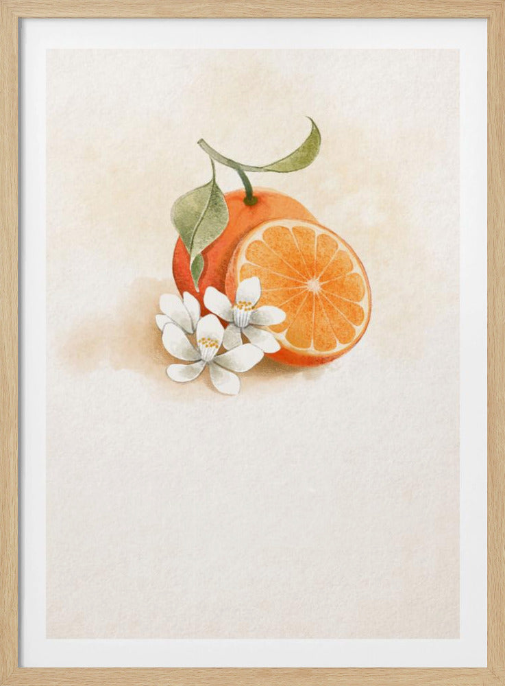 Saftige Orange | Poster - Kunstdruck
