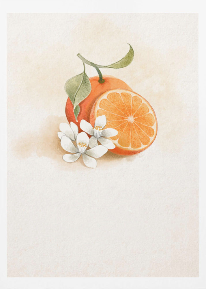 Saftige Orange | Poster - Kunstdruck