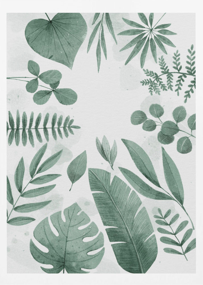 Greenery Leaves | Poster
